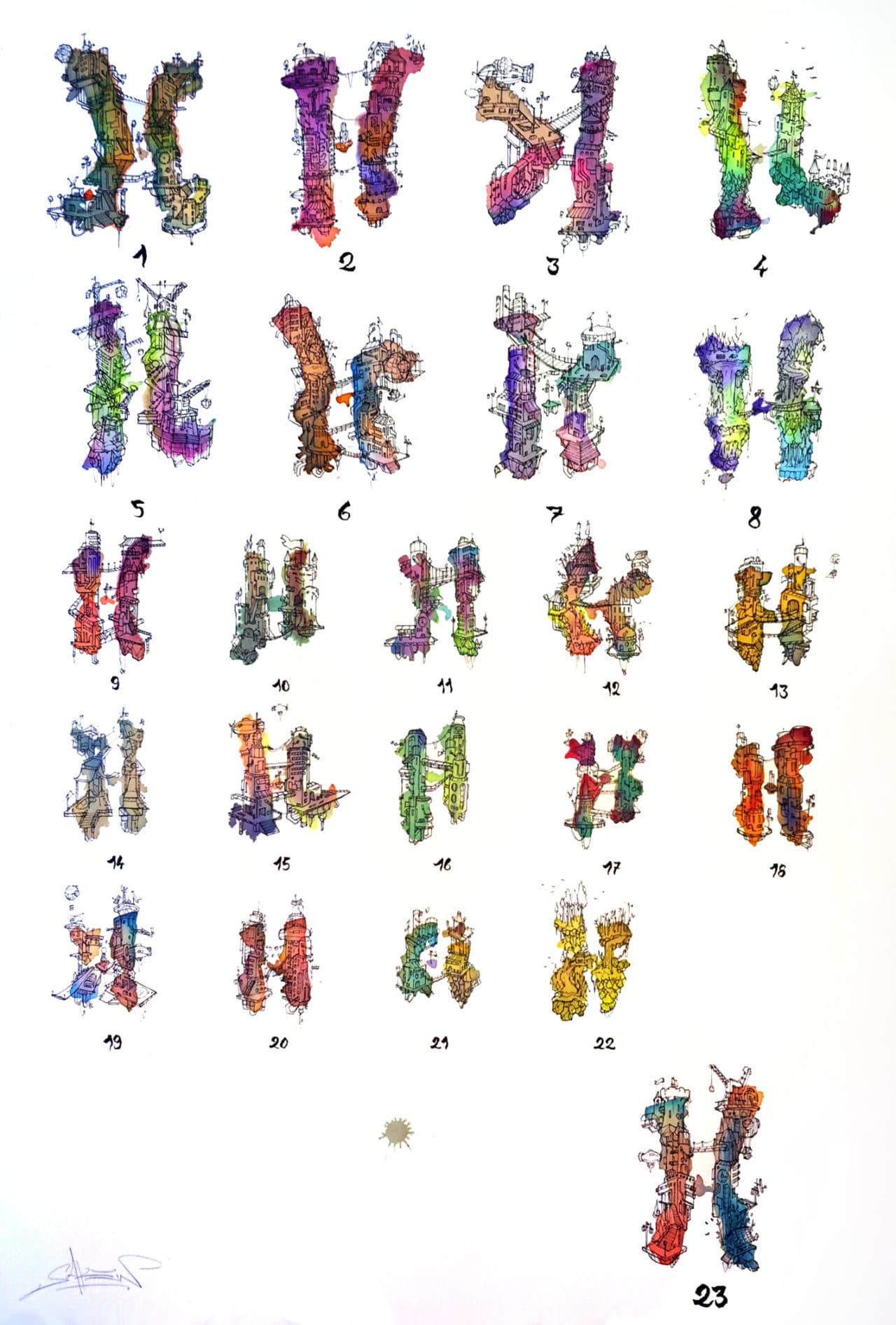 Chromosones