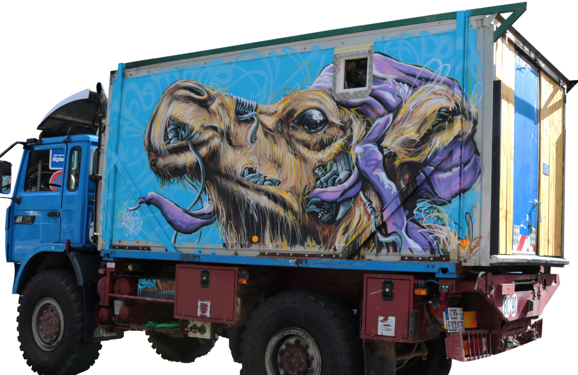chameau camion peinture graffiti decoration couleurs